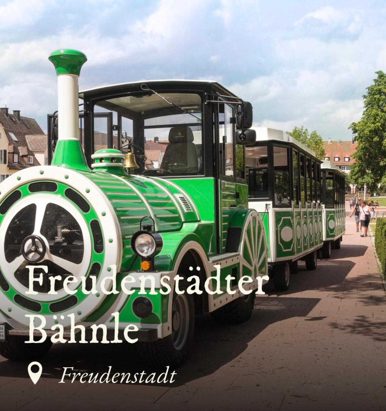 Ferienwohnung Schwarzwald Tannenzaepfle Baiersbronn Exterior foto